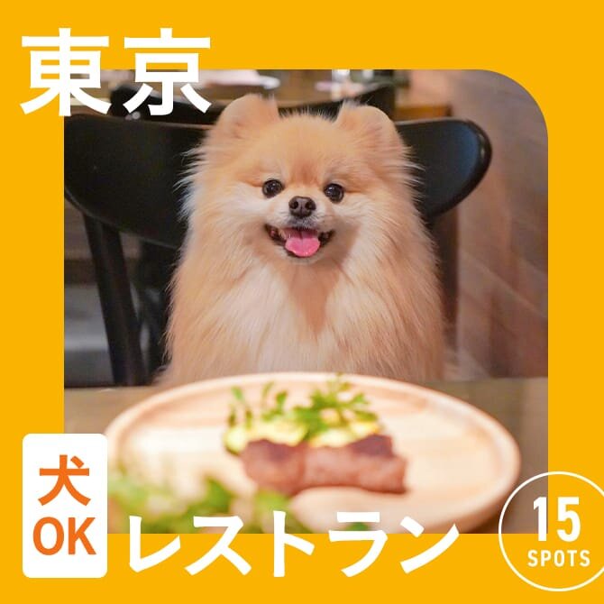【東京で犬と行けるレストラン】店内OK！ワンコメニューのあるレストランも！