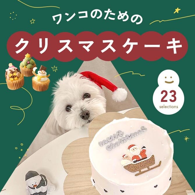 【犬用クリスマスケーキ23選】愛犬におすすめのペット用クリスマスケーキをご紹介！
