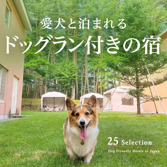 ドッグランのあるペットと泊まれる宿｜ドッグラン付きの宿