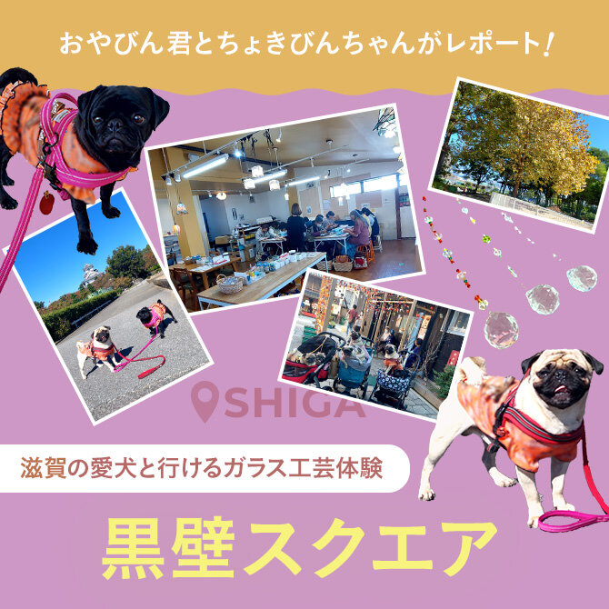 【愛犬と行く黒壁クスエア】ものづくり体験と豊公園でのんびり散歩