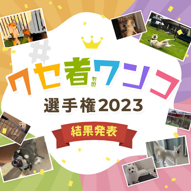 【ワンワンの日特別企画】クセの強すぎるワンコで元気をチャージ｜クセ者選手権2023結果発表