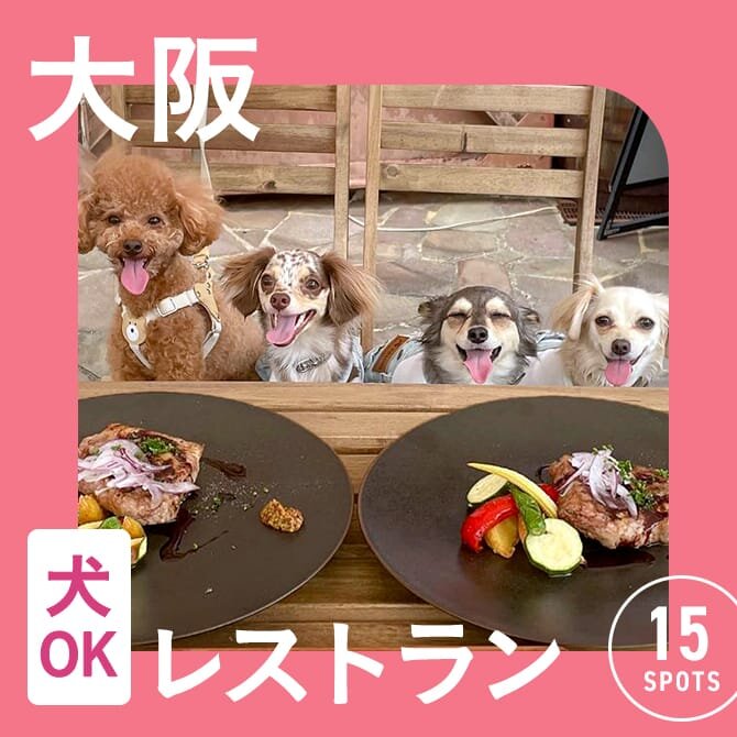 【大阪で愛犬と行けるレストラン15選】店内OK！ワンコメニューのあるレストランも！