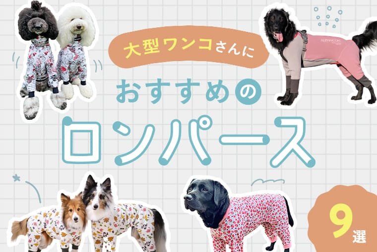 大型犬ロンパース9選】大型犬さんに人気のおすすめロンパース9選！人気