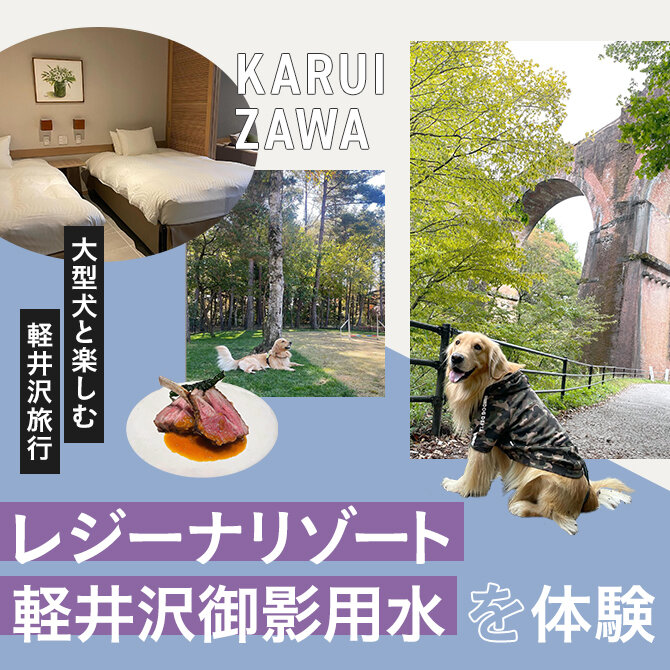 【レジーナリゾート軽井沢御影用水 宿泊レポート】大型犬と楽しむ軽井沢旅行！