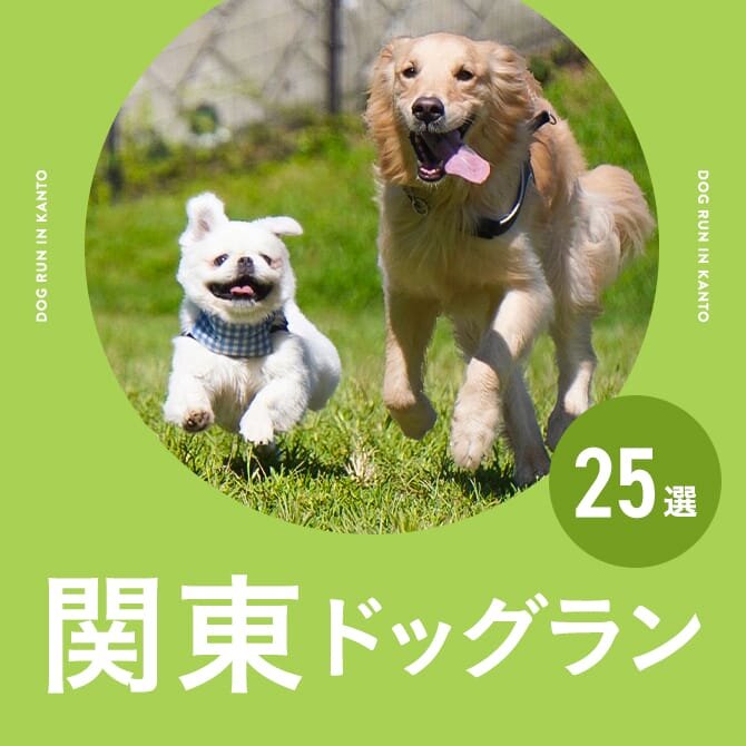 【関東のおすすめドッグラン25選】フォロワーさんが選んだマイベストドッグラン