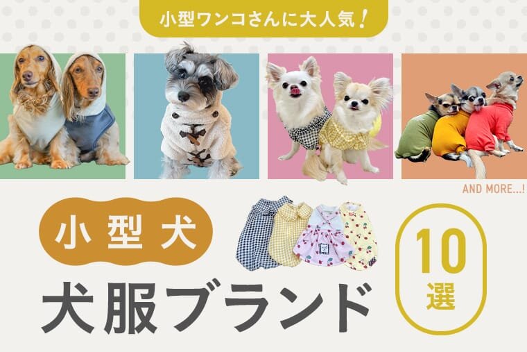 小型犬犬服ブランドおすすめ10選！人気のマンダリンブラザーズ