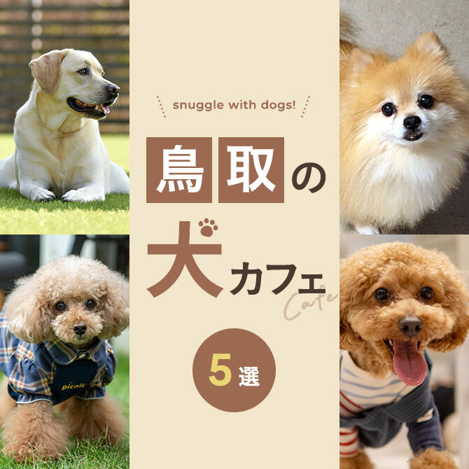 【鳥取の犬と触れ合える場所5選】犬カフェなど鳥取で犬と触れ合える場所