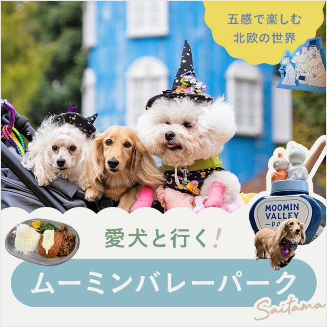 【愛犬と行くムーミンバレーパーク】北欧の世界観を楽しめる！人気の秘密を徹底レポート！