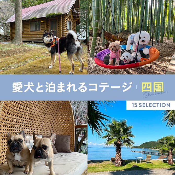 【四国の犬と泊まれるコテージ】四国地方のペットと泊まれるコテージ15選（愛媛・高知・徳島・香川）
