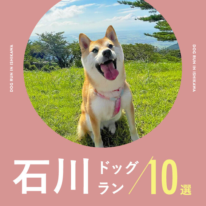 【石川県ドッグラン】石川県で人気のドッグラン10選！室内ドッグランや無料も！