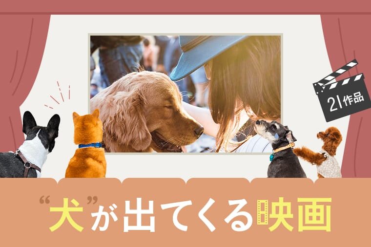 コレクション 洋画 ペットの犬を追いかける