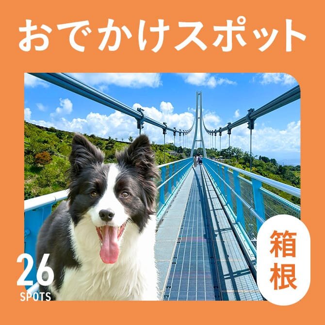 【箱根の犬連れでいける観光スポット26選】箱根の愛犬といけるお出かけスポット・ランチ！
