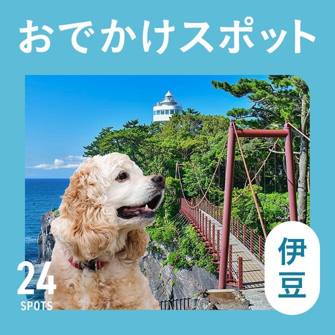 【伊豆の犬連れでいける観光スポット24選】伊豆の愛犬といけるお出かけスポット・ランチ！