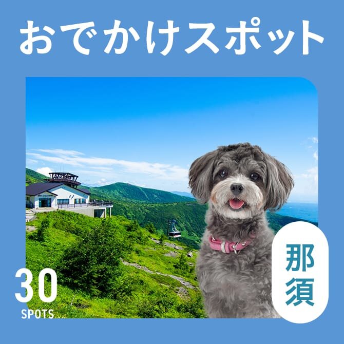 【那須の犬といけるお出かけスポット30選】ペット同伴可・犬連れOKの観光スポット・ランチ