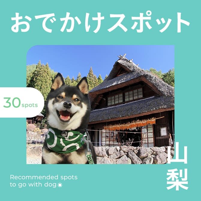 【山梨の犬連れでいける観光スポット30選】山梨の愛犬といけるお出かけスポットやカフェ・ランチ！