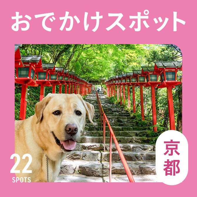 【京都の愛犬といける観光スポット22選】京都の犬連れOKのおでかけスポット・施設まとめ
