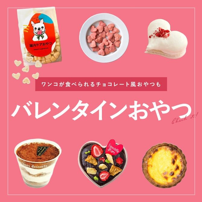 【犬用バレンタインおやつ16選】人気のチョコレート風おやつやケーキ特集