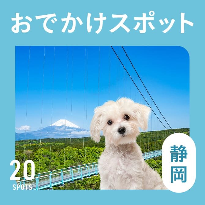 【静岡の愛犬といける観光スポット20選】犬連れOKのおでかけスポット・施設まとめ
