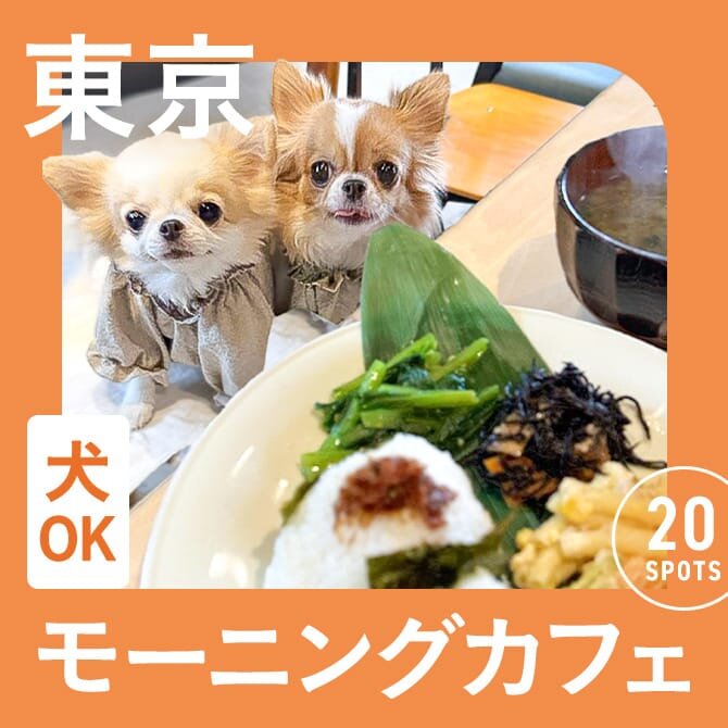 【東京都内のおすすめモーニング20選】犬連れOKモーニングカフェ