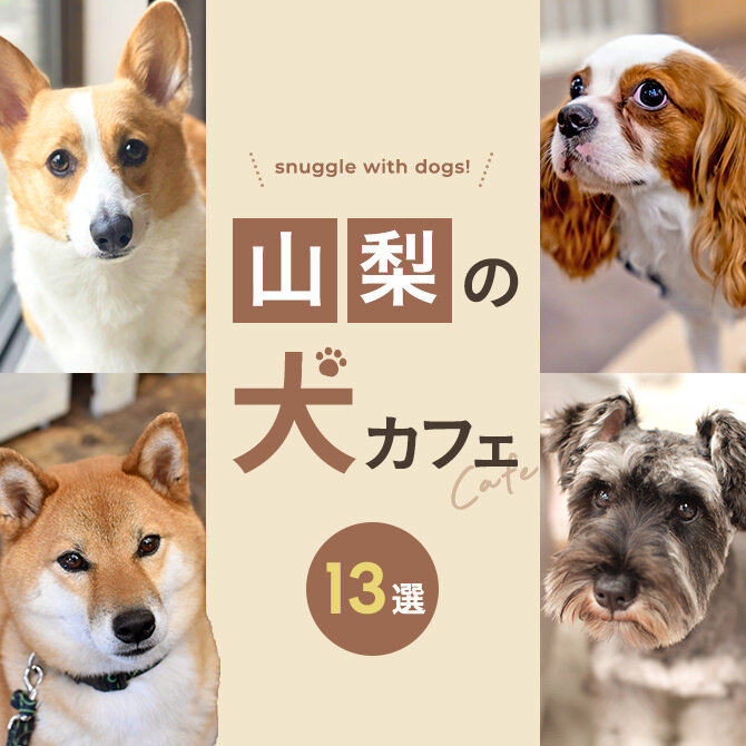 【山梨の犬と触れ合える場所13選】犬カフェなど山梨で犬と触れ合える場所