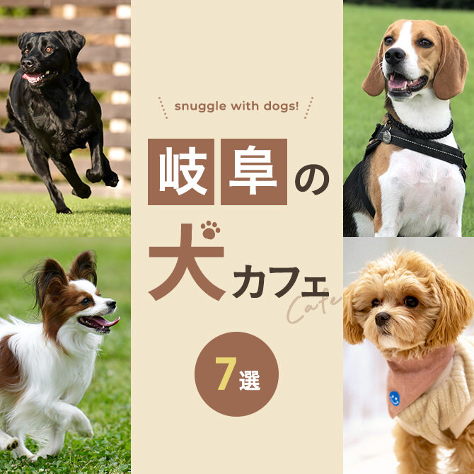 【岐阜の犬と触れ合える場所7選】犬カフェなど岐阜で犬と触れ合える場所