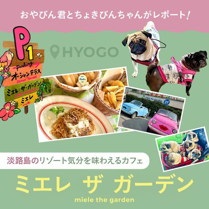 【淡路島の犬と行けるカフェ】miele the garden（ミエレ ザ ガーデン）