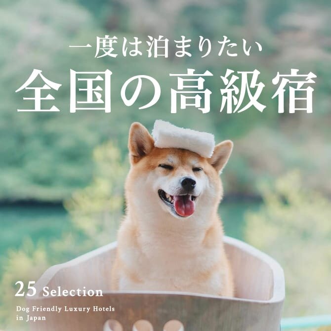 ペットと泊まれる高級宿ランキング25｜高級ホテル・旅館