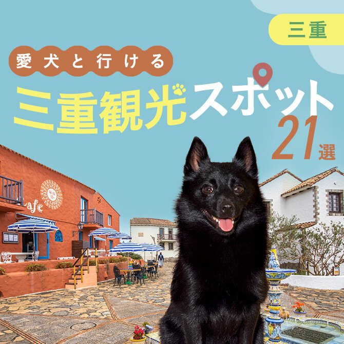 【三重の愛犬といけるお出かけスポット21選】犬連れOKのお出かけスポット・施設まとめ