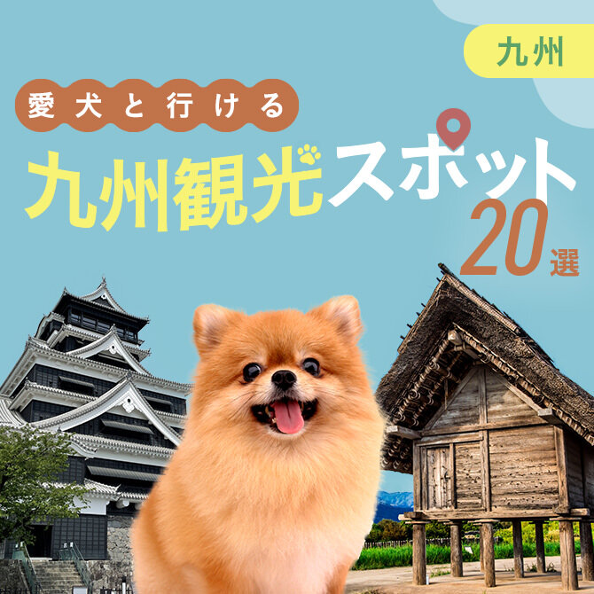 【九州の愛犬といけるお出かけスポット20選】犬連れOKのお出かけスポット・施設まとめ