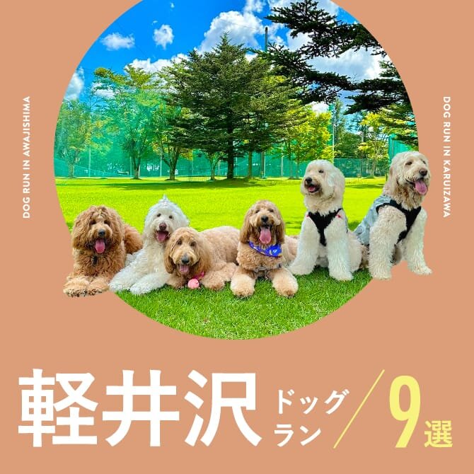 【軽井沢ドッグラン】カフェ併設や無料のドッグラン9選