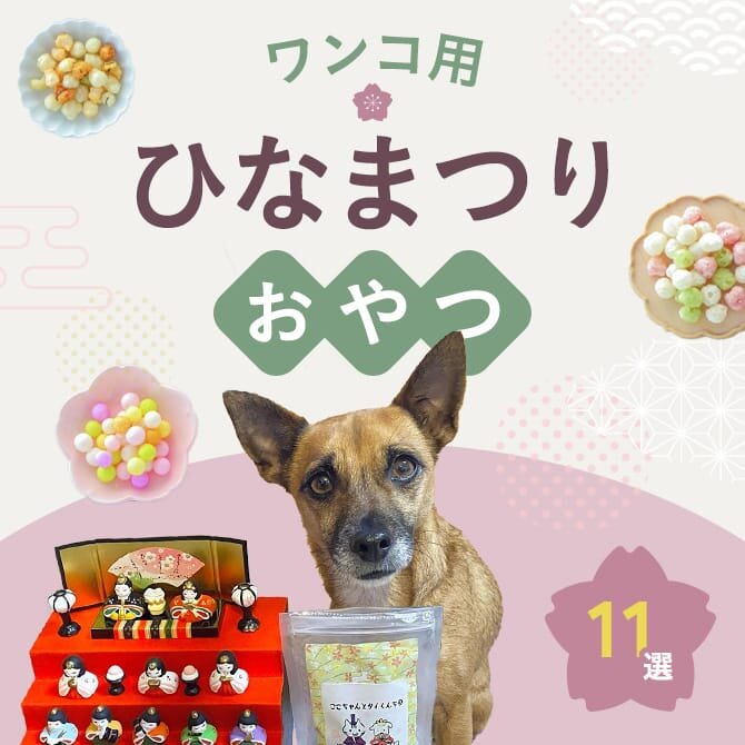 【犬のひなまつり】愛犬にあげたいひなまつりのおやつ11選