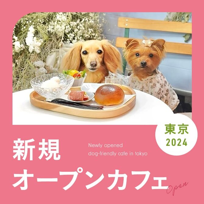 【2024年新規オープンドッグカフェ】愛犬と行ける話題の最新カフェ