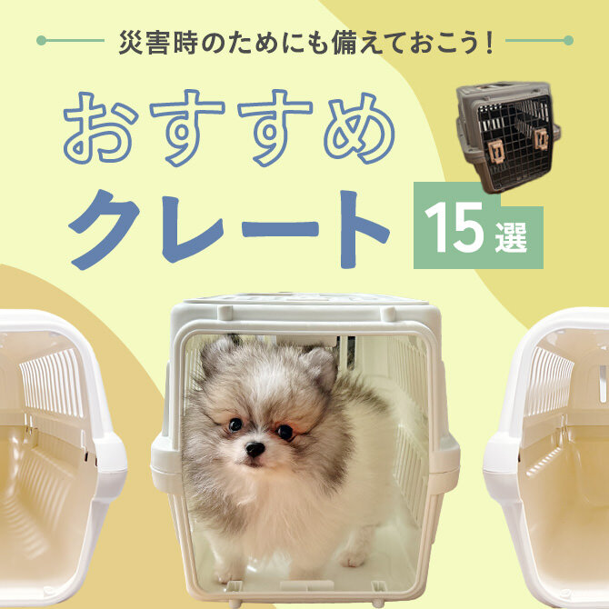 【犬のクレートおすすめ15選】留守番や移動にもおすすめのクレート。クレートのサイズの選び方も解説！