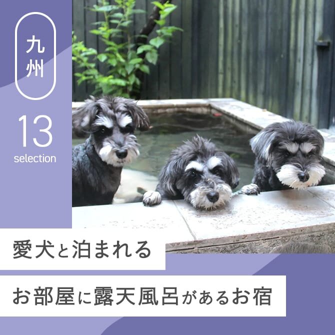 【九州】露天風呂付き客室がある犬と泊まれる宿13選！ペットと泊まれる九州の露天風呂付き客室｜2024年版
