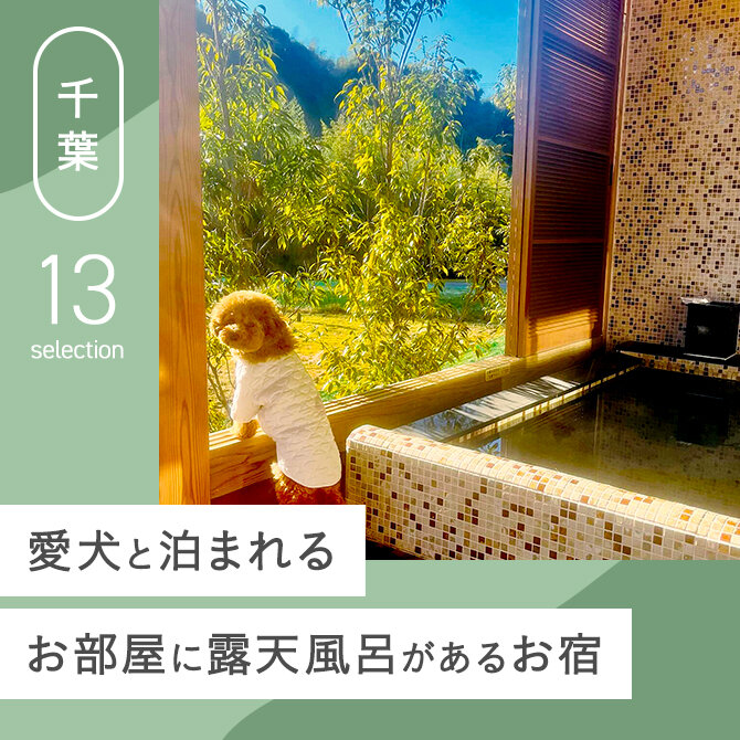 【千葉】露天風呂付き客室がある犬と泊まれる宿13選！ペットと泊まれる千葉の露天風呂付き客室｜2024年版