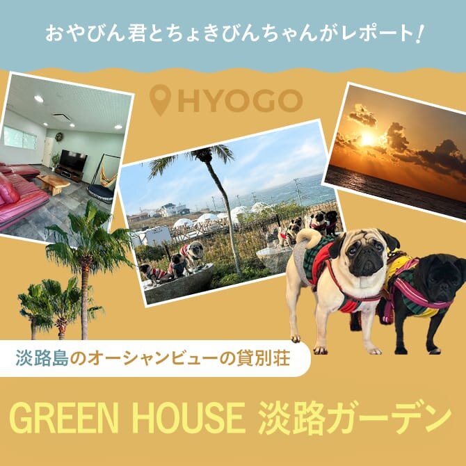 【犬と泊まれる淡路島の貸別荘】GREENHOUSE 淡路ガーデンをレポート！