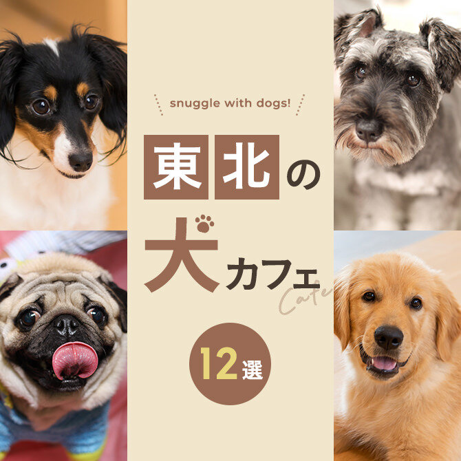 【東北の犬と触れ合える場所12選】犬カフェなど東北で犬と触れ合える場所