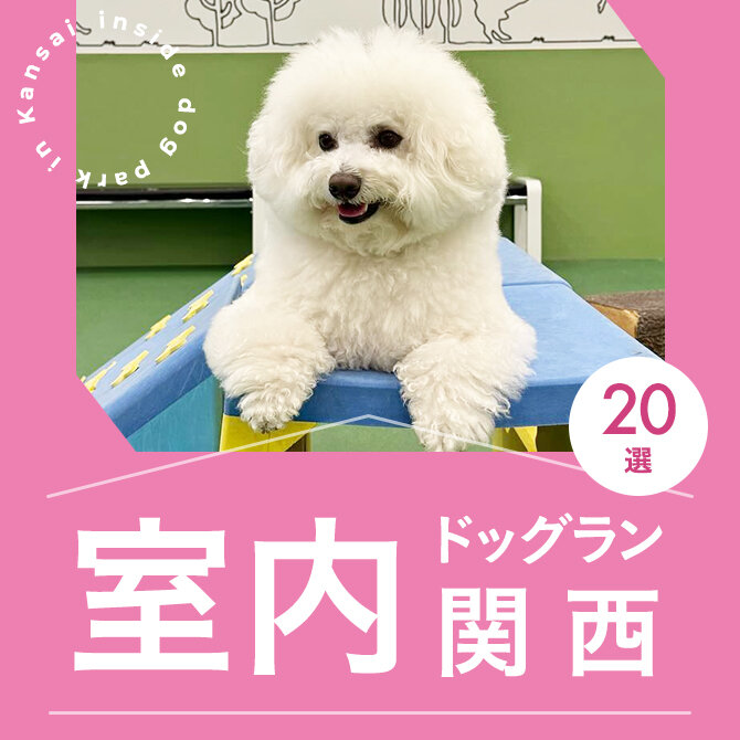 【関西室内ドッグラン20選】カフェ併設や屋根付き全天候型ドッグランも！