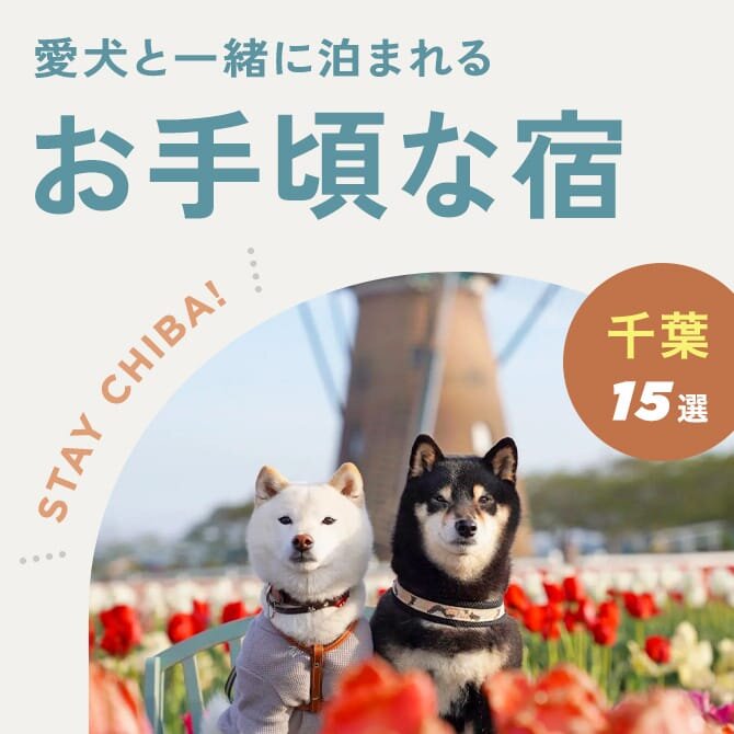 【千葉の犬と泊まれる安い宿 15選】1万円前後！千葉のペットと泊まれる安い宿｜2024年版