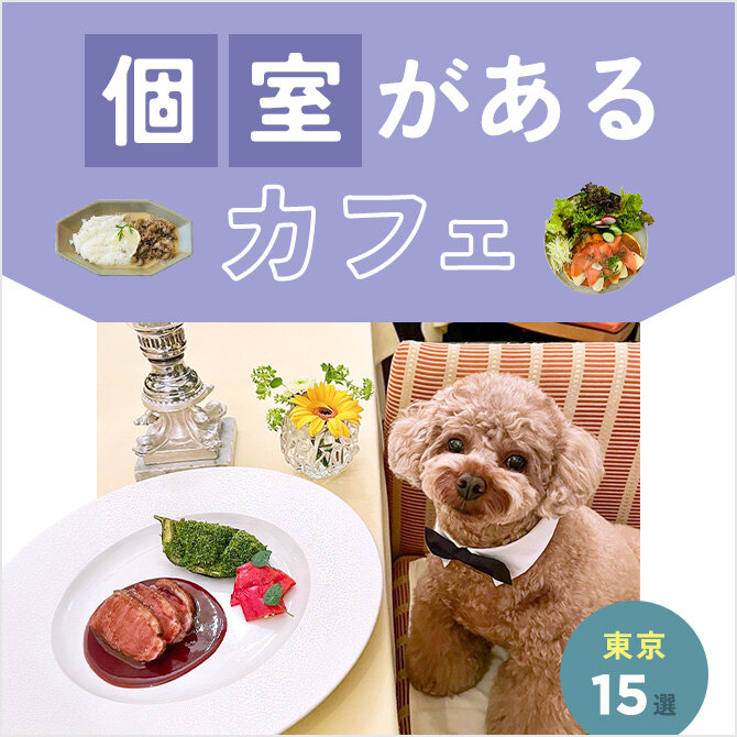 【個室のあるドッグカフェ15選】犬と行ける個室のあるカフェ