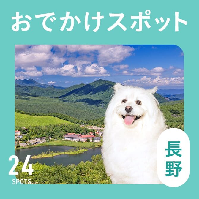 【長野の犬連れでいける観光スポット・ランチ 24選】長野で犬連れOKのおでかけスポット・ランチまとめ
