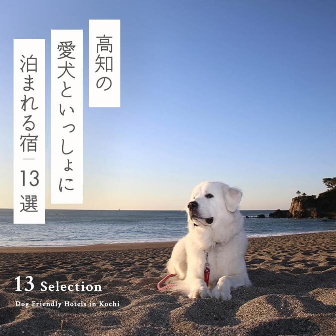 【高知の犬と泊まれる宿13選】高知で人気のペットと泊まれる宿｜2024年最新