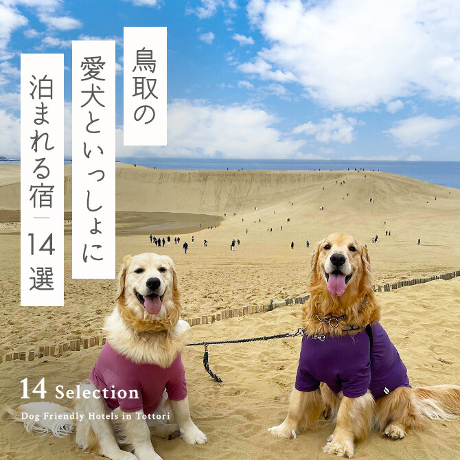 【鳥取の犬と泊まれる宿14選】鳥取で人気のペットと泊まれる宿｜2024年最新