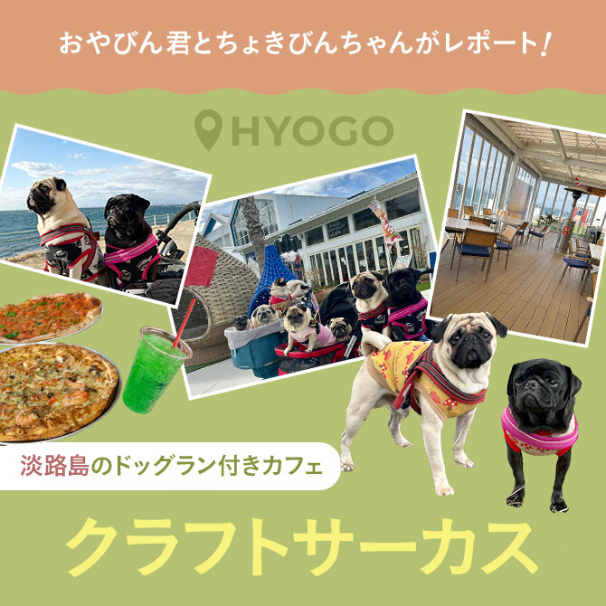 【愛犬と行くクラフトサーカス（CRAFT CIRCUS）】淡路島のドッグラン付きカフェ