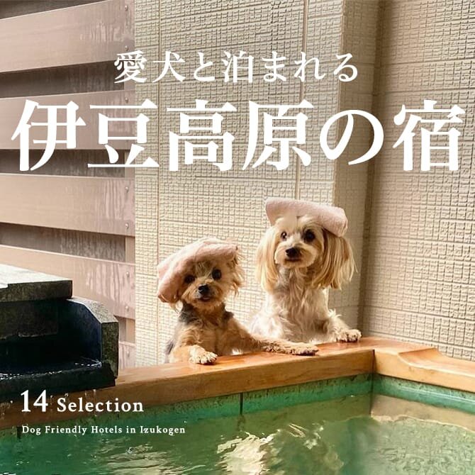 【伊豆高原の犬と泊まれる宿14選】伊豆高原で人気のペットと泊まれる宿｜2024年最新