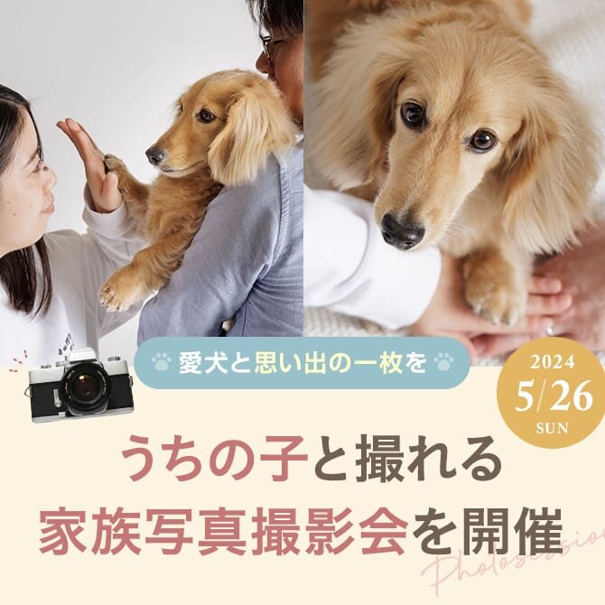 【愛犬家族写真撮影会】5月26日：うちの子と家族写真撮影会開催！家族とうちの子の絆を思い出の一枚に