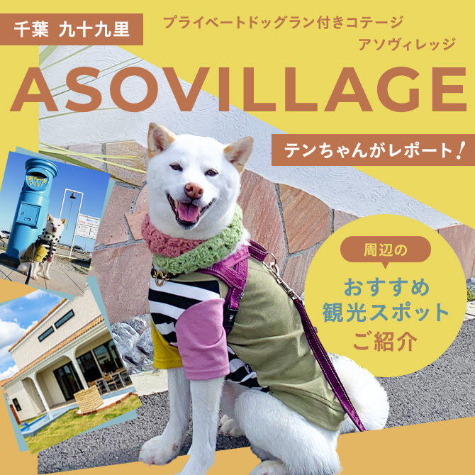 【ASOVILLAGE アソヴィレッジ（千葉県九十九里）】愛犬と泊まれるプライベートドッグラン付きコテージ
