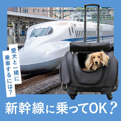 【犬は新幹線に乗れる？】犬を新幹線に乗せるための方法・準備。知っておきたいマナーや料金