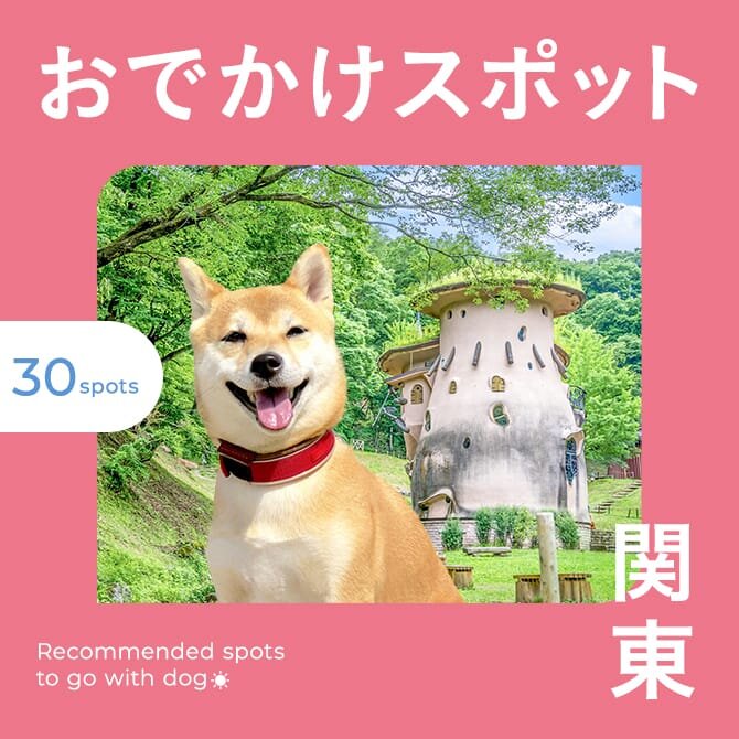 【関東の愛犬といけるお出かけスポット25選】愛犬連れで行ける人気の場所や施設をご紹介