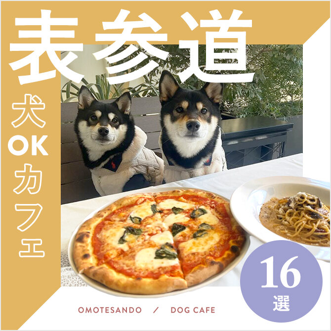 【表参道ドッグカフェ・犬と行けるカフェ】表参道エリアで犬と行ける人気カフェ16選｜2024年版